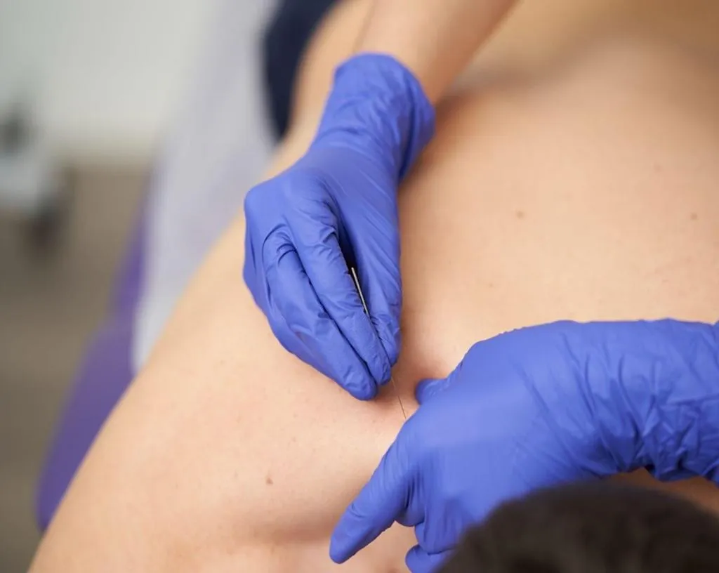 Physical Therapist,Sports massage therapist,Physical therapy clinic