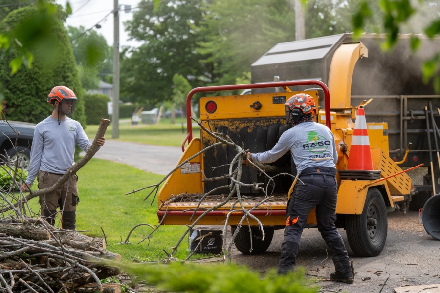 Two workers feeding tree branches into a wood chipper during organic debris removal in Montreal