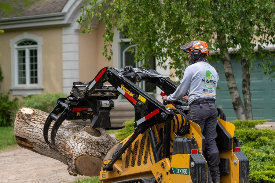 Skid steer with a grapple attachment moving a large fallen log during tree removal in Montreal