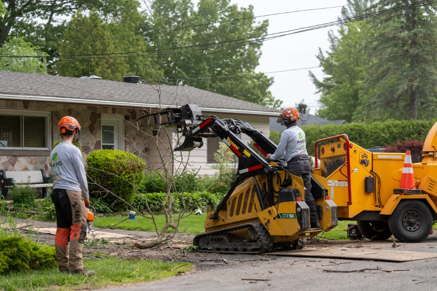 Crew operating a mini excavator and wood chipper in a residential front yard for tree removal in Montreal