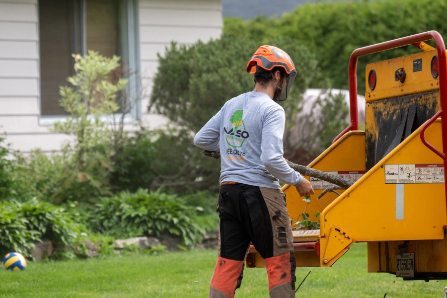 NASO Service worker feeding branches into a wood chipper on a residential lawn during organic debris removal in Montreal