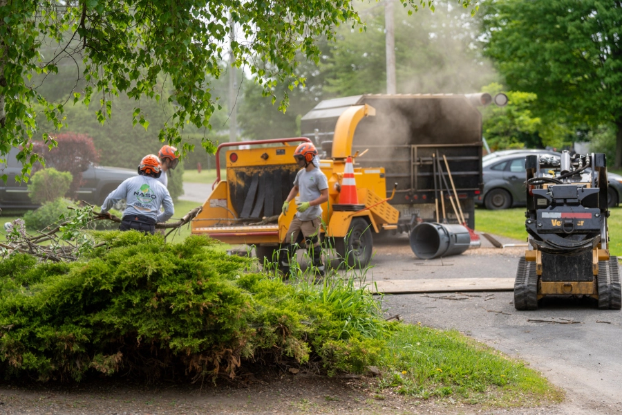 Workers chipping tree debris with a large wood chipper and skid steer on a residential property for tree services in Montreal