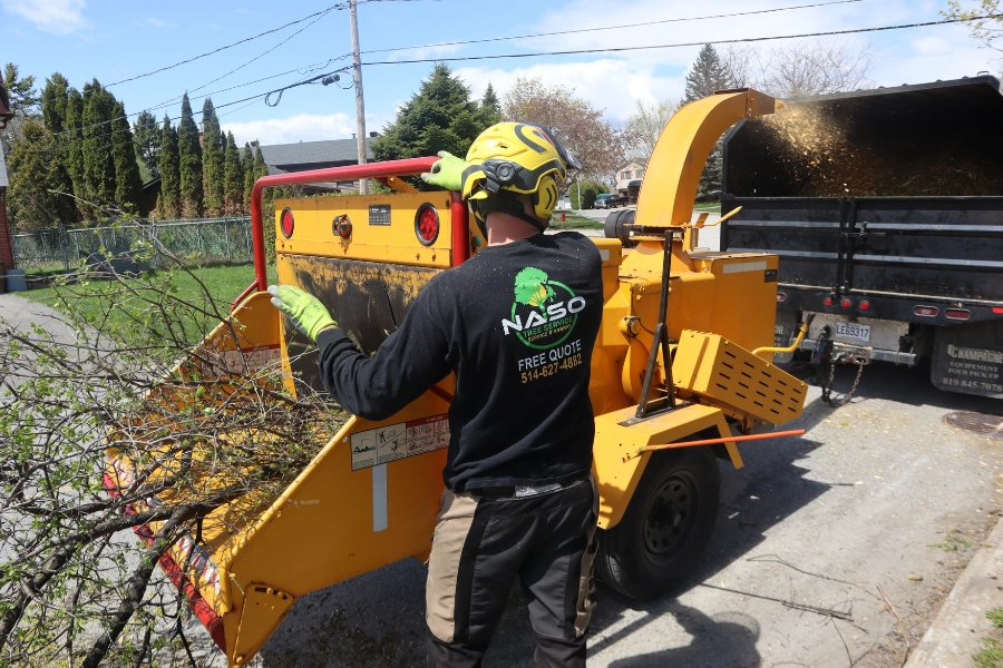 NASO Service worker loading branches into a wood chipper on a street during organic debris removal in Montreal