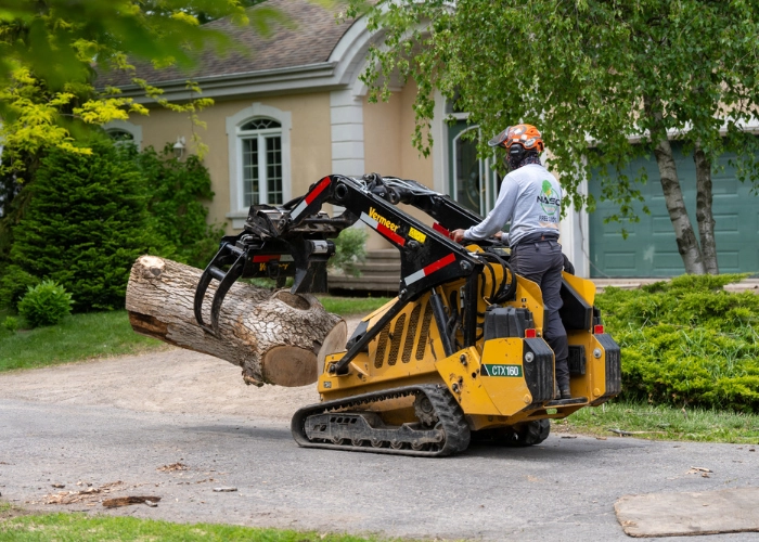 Skid steer with a grapple attachment loading a large log on a residential driveway during tree removal in Montreal