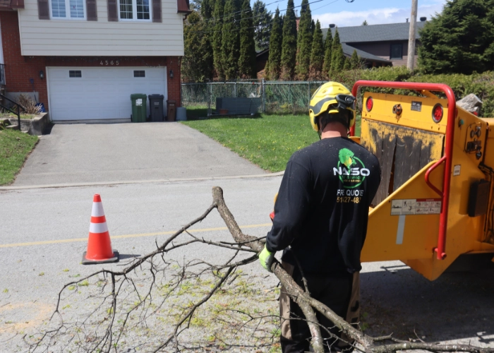 NASO Service worker feeding cut branches into a wood chipper curbside during tree trimming in Montreal