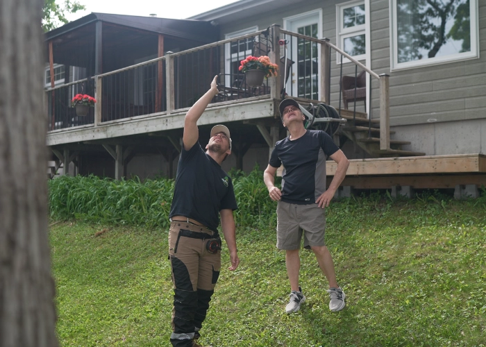 NASO Service arborist and homeowner assessing trees in a backyard during a tree care consultation in Montreal
