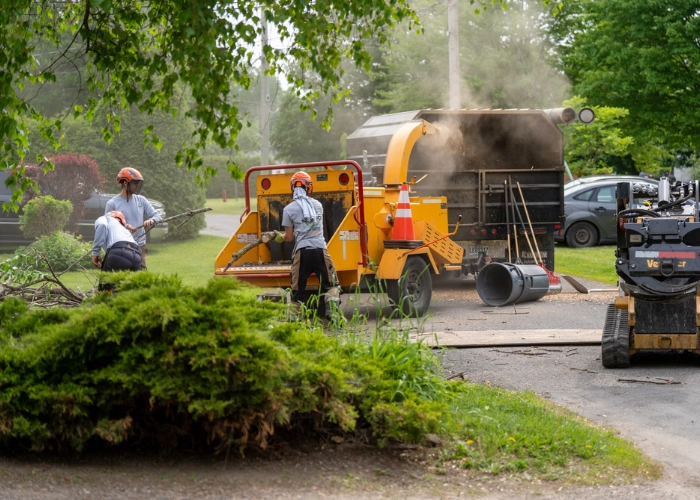 Crew operating a wood chipper and skid steer to clear debris during tree planting site preparation in Montreal