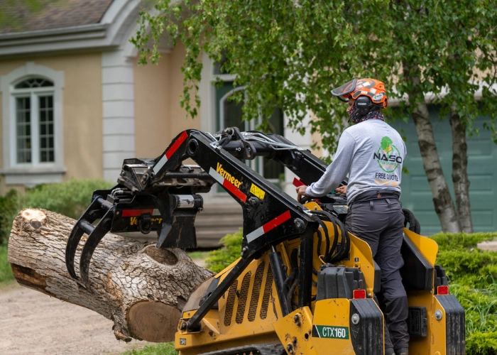 Worker operating a skid steer with a grapple to load a large log onto a truck during organic debris removal in Montreal