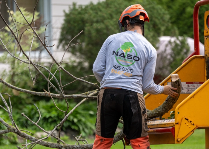 NASO Service worker feeding branches into a wood chipper in a residential front yard during organic debris removal in Montreal