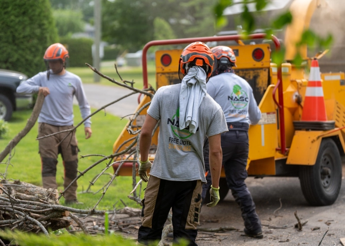 Two NASO Service workers carrying branches to a wood chipper curbside during organic debris removal in Montreal