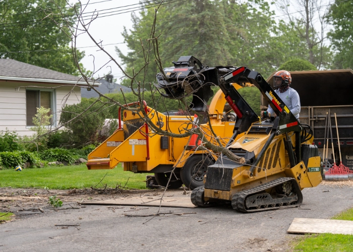 Skid steer and wood chipper crew clearing a residential property of tree debris during organic debris removal in Montreal