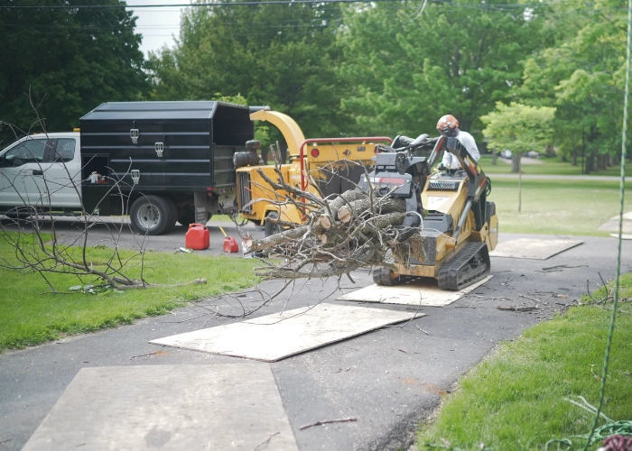 Skid steer loading tree debris into a wood chipper on a driveway during organic debris removal in Montreal