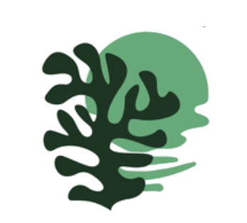 Dark green abstract seaweed shape in front of a large muted green circle.