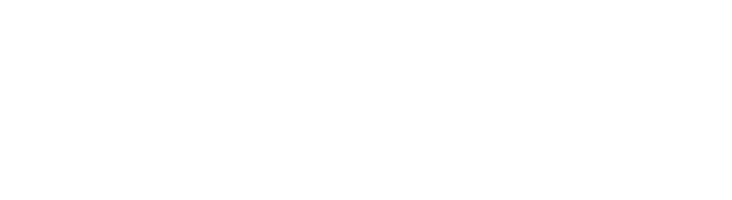 Diana Innovator Logo