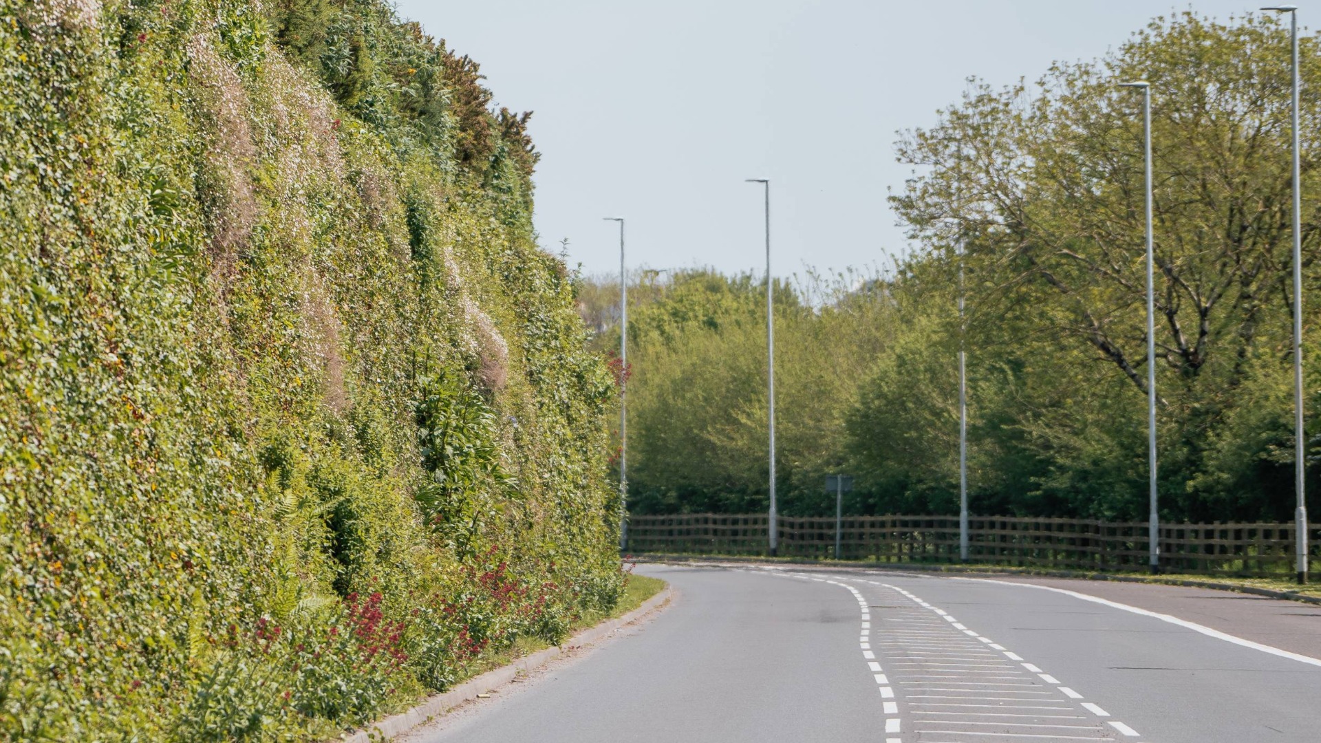 Picture of the first road we built at Sherford, now the main road through the site featuring a large living wall