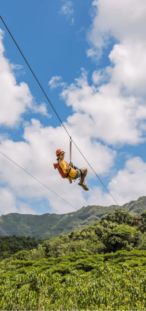 Person wearing a helmet and harness smiling while ziplining over green forest and mountains.