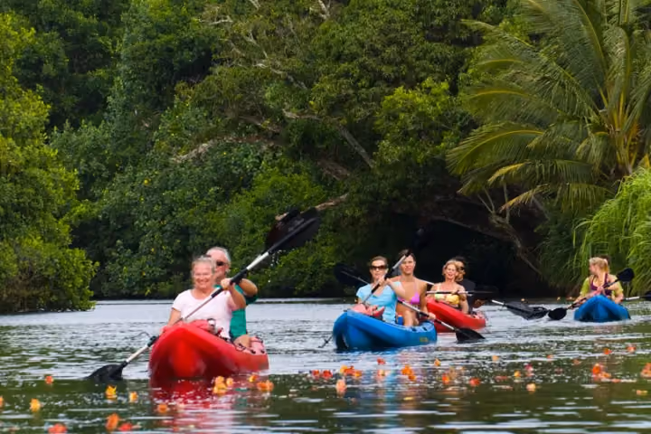 Guests kayaking on a calm Kauai river surrounded by tropical greenery.