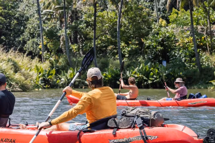Gallery photo from Wailua River Kayak & Waterfall Hike.