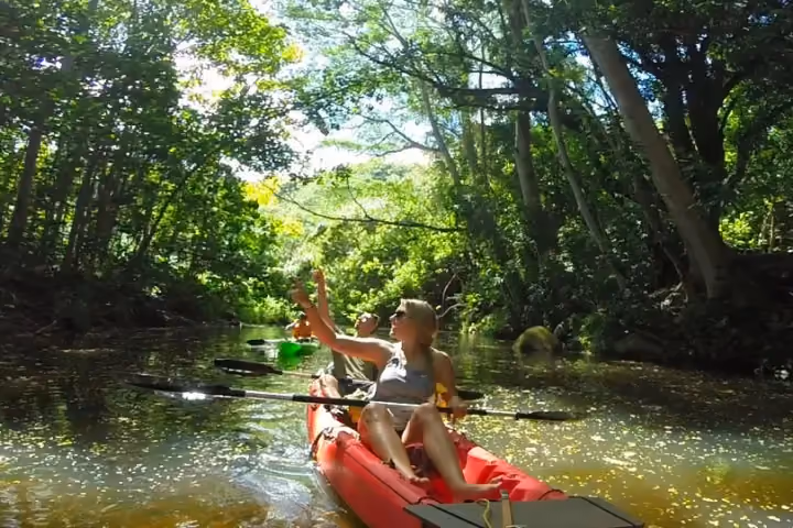 Guests kayaking on a calm Kauai river surrounded by tropical greenery.