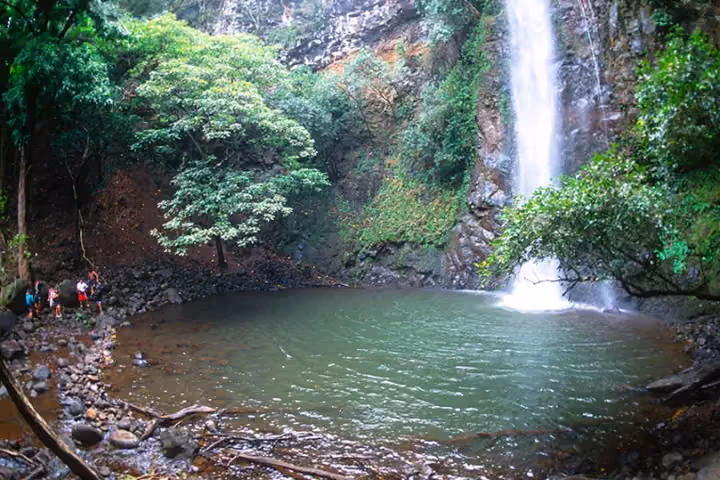 Tall waterfall plunges into a dark green forest pool with hikers on shore.