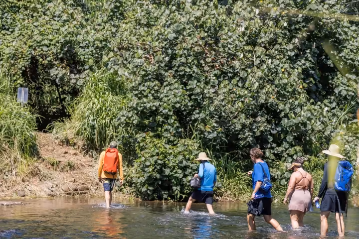 Gallery photo from Wailua River Kayak & Waterfall Hike.