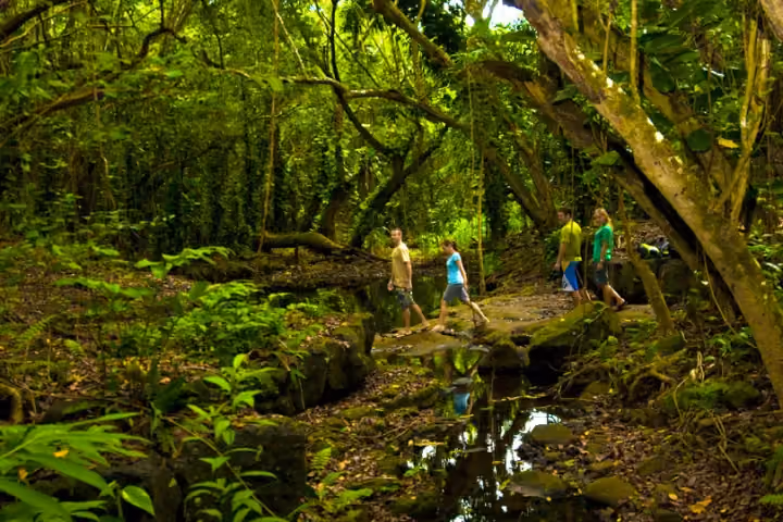 Hikers exploring a lush tropical trail on Kauai.