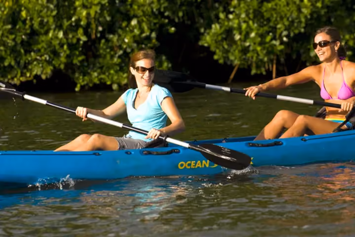 Gallery photo from Wailua River Kayak & Waterfall Hike.