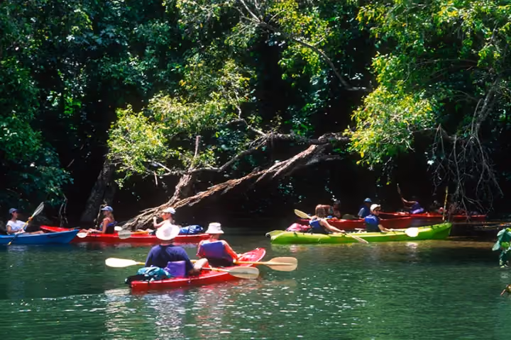 Gallery photo from Wailua River Kayak & Waterfall Hike.