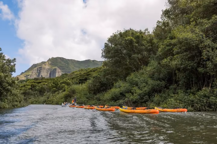 Gallery photo from Kauai's Hidden Valley Falls Kayak & Hike.