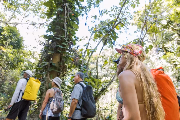 Gallery photo from Kauai's Hidden Valley Falls Kayak & Hike.