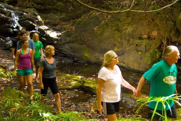 Guests kayaking on a calm Kauai river surrounded by tropical greenery.