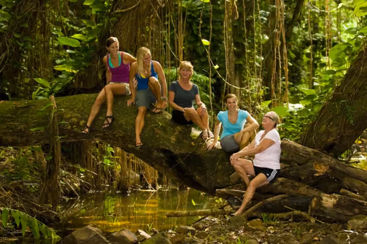 Guests kayaking on a calm Kauai river surrounded by tropical greenery.