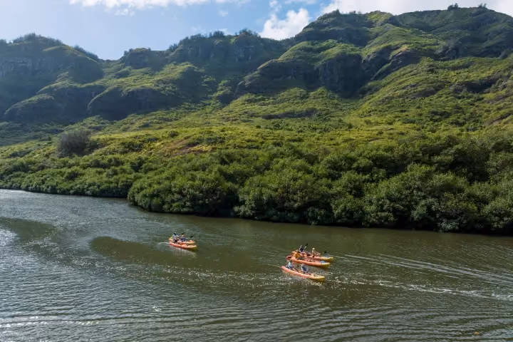 Gallery photo from Kauai's Hidden Valley Falls Kayak & Hike.