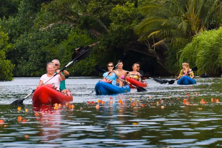 Smiling paddlers in kayaks float a jungle river with orange blossoms on the water.