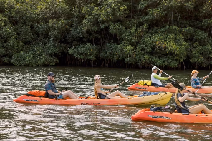 Gallery photo from Kauai's Hidden Valley Falls Kayak & Hike.