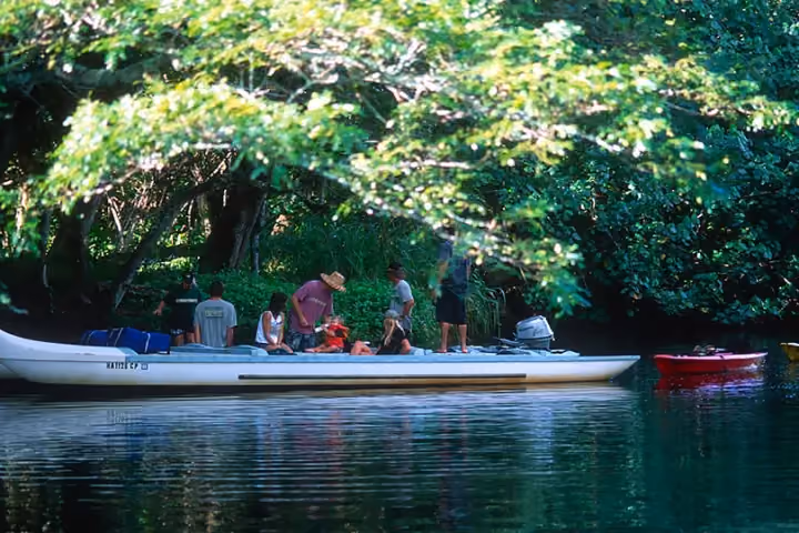 Gallery photo from Kipu Safari: Kauai Zipline & Kayak Tour.