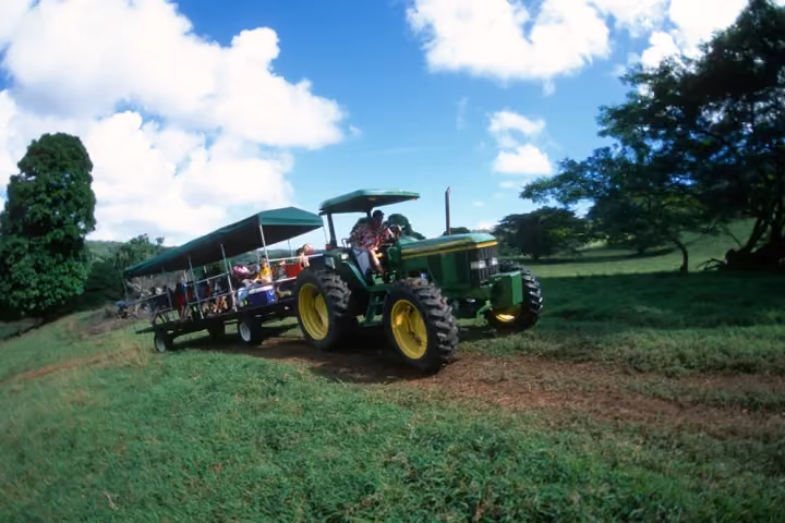 Gallery photo from Kipu Safari: Kauai Zipline & Kayak Tour.