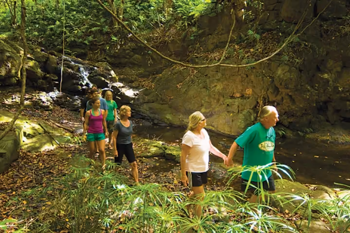 Hikers follow a rocky rainforest path toward a small waterfall.