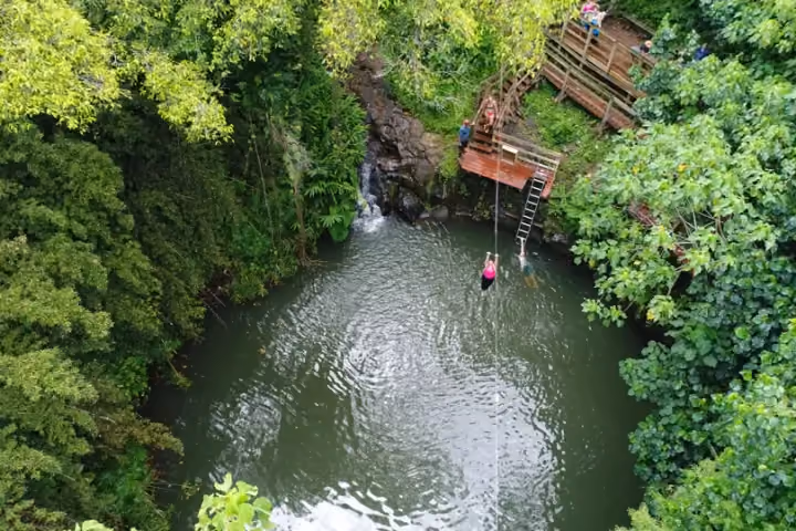 Gallery photo from AdrenaLine Kauai Zipline & Swim Adventure.