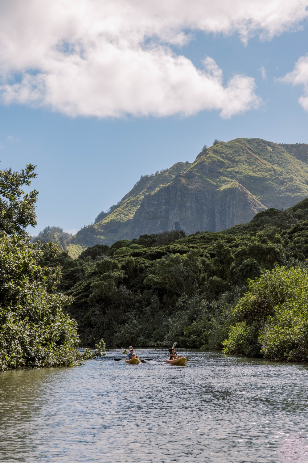 Kayakers on the Huleʻia River with the Hāʻupu mountains ahead