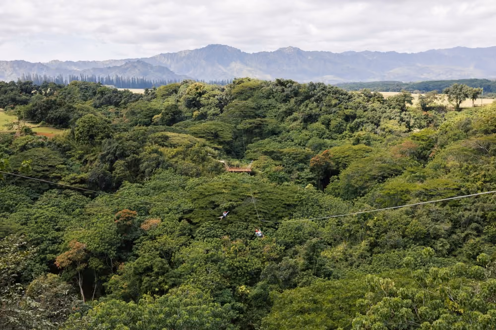 Guests ziplining high above lush valleys at Kīpū Ranch on Kauaʻi