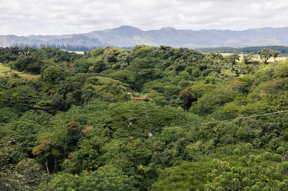 View across the forested valley at Kīpū Ranch toward the distant mountains