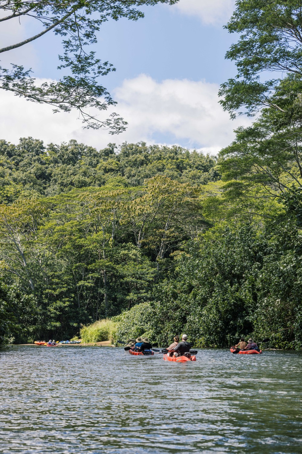 Kayakers on the Wailua River with trees along the shore on Kauaʻi