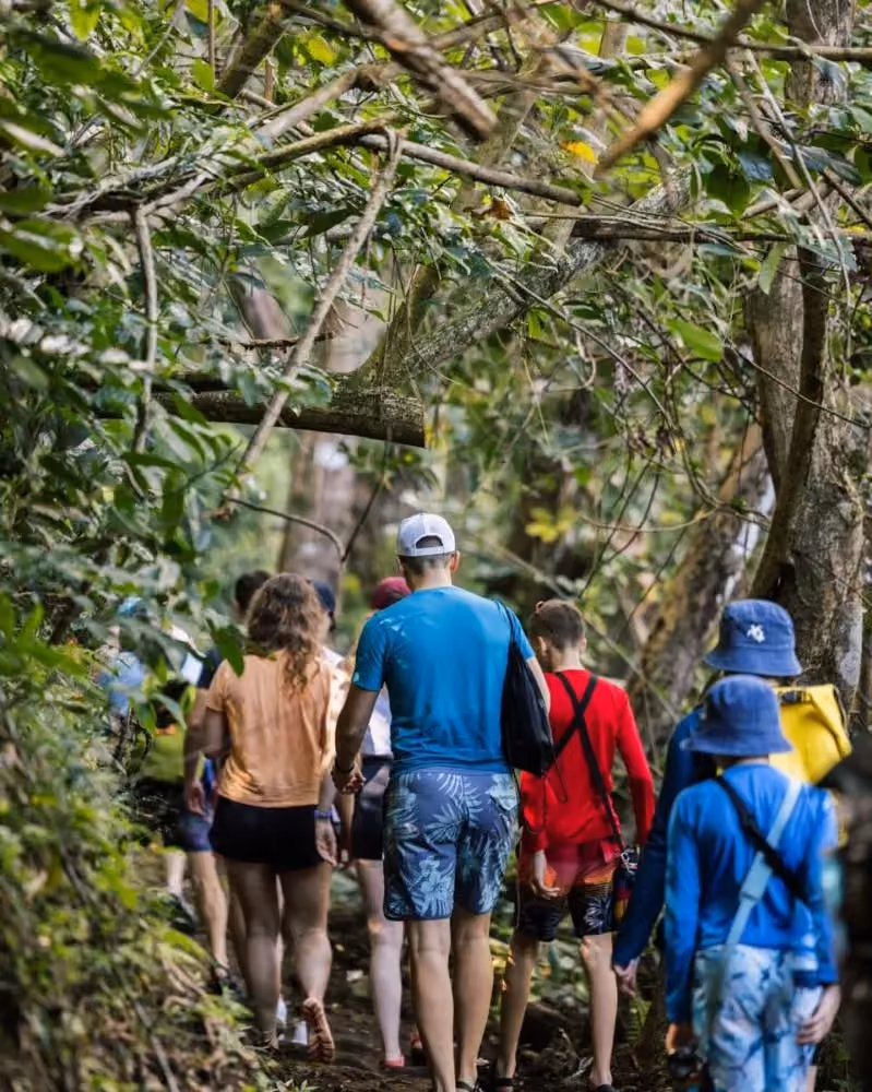 Guests hiking together along a shaded jungle trail on Kauaʻi as part of a guided adventure