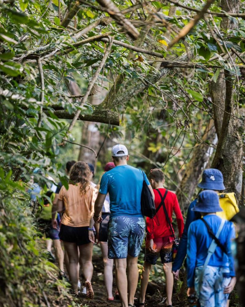 Guests hiking a shaded jungle trail on a Kauaʻi adventure tour