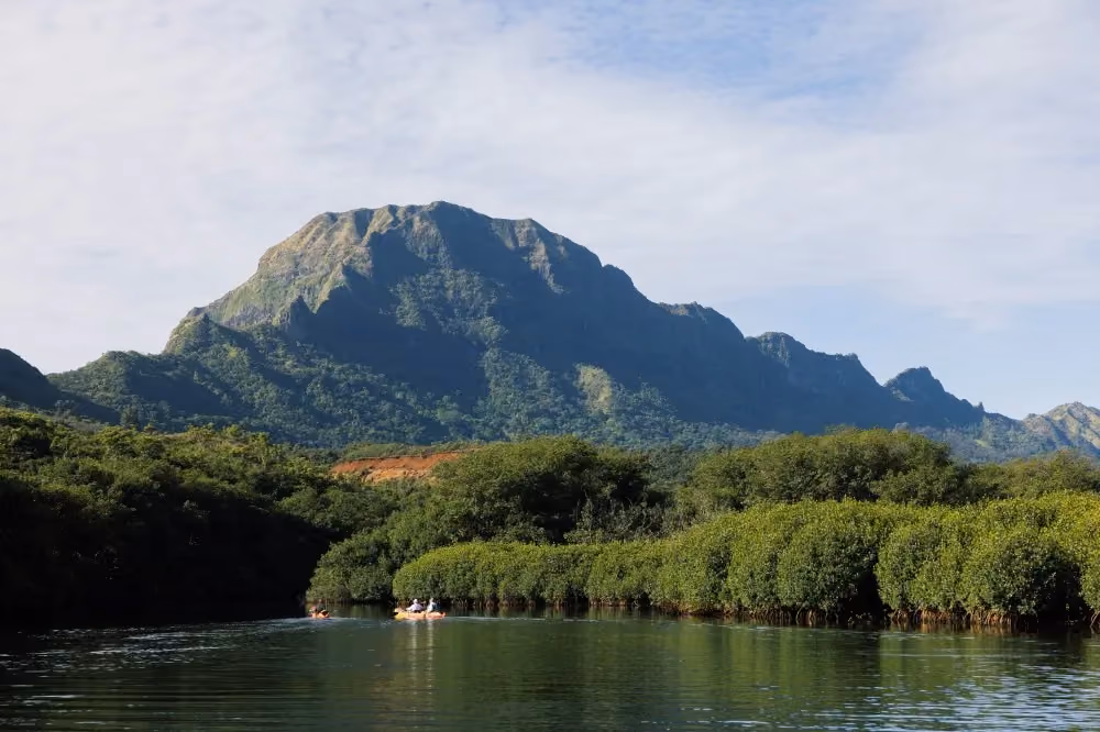 Kayakers on Kauai's Huleia river on Outfitters Kauai's exclusive private land on Kipu Ranch.