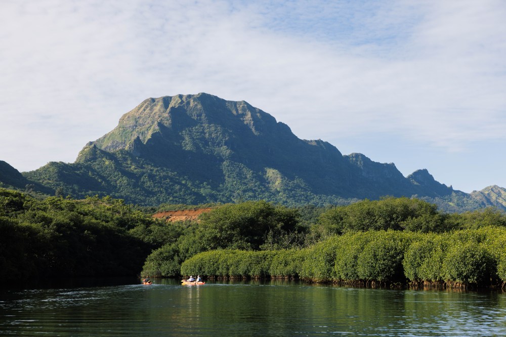 Huleʻia River lined with mangroves below the Hāʻupu mountains at Kīpū Ranch