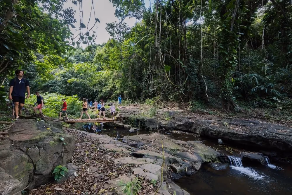 Hidden Valley Falls Kauai hiking tour with guests crossing a jungle stream bridge on a guided waterfall adventure in lush tropical rainforest