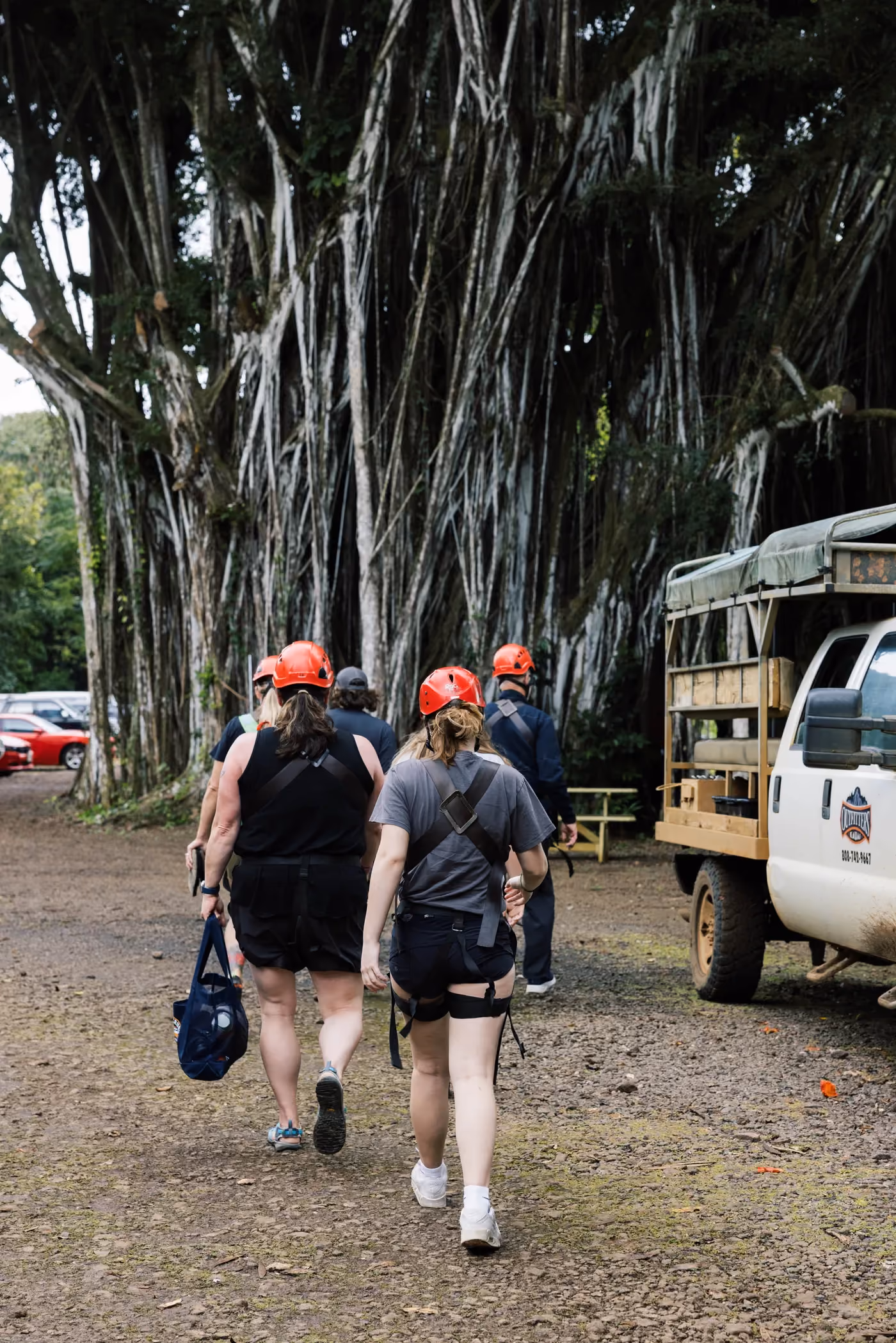 Zipline tour participants wearing safety gear preparing for canopy tour in Kauai rainforest