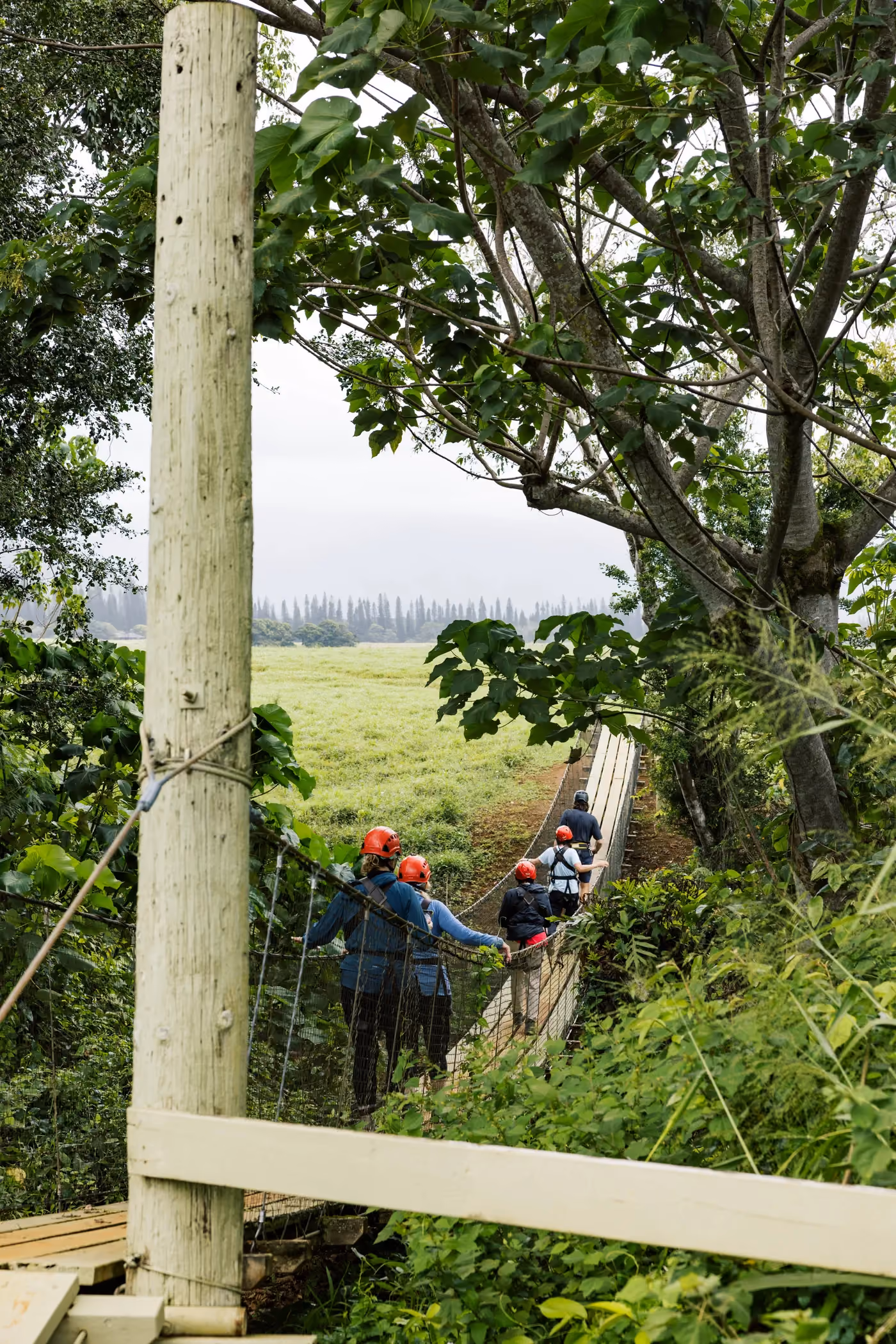 ipline tour group on platforms preparing for canopy tour on Kauai jungle course